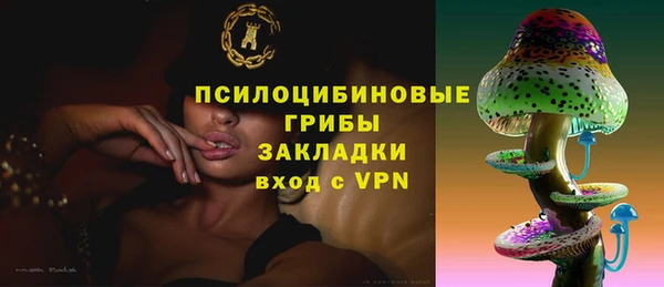 спиды Алексин