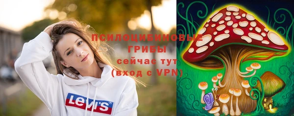 спиды Алексин